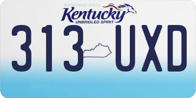 KY license plate 313UXD