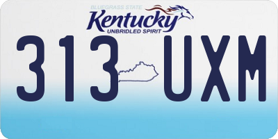 KY license plate 313UXM