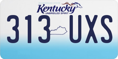 KY license plate 313UXS