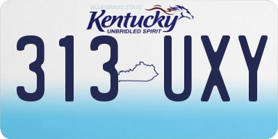 KY license plate 313UXY