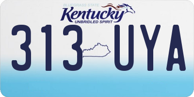 KY license plate 313UYA