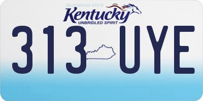 KY license plate 313UYE