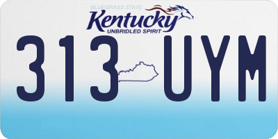 KY license plate 313UYM