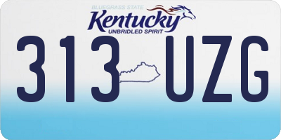 KY license plate 313UZG