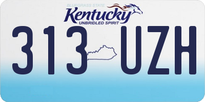 KY license plate 313UZH