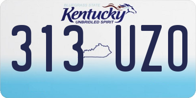 KY license plate 313UZO
