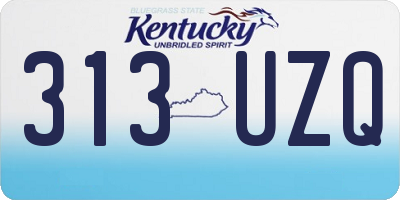 KY license plate 313UZQ