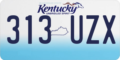 KY license plate 313UZX