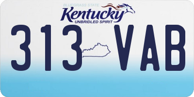 KY license plate 313VAB
