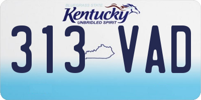 KY license plate 313VAD
