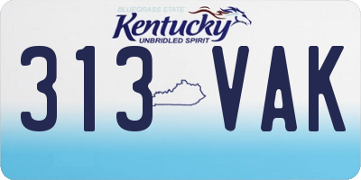 KY license plate 313VAK