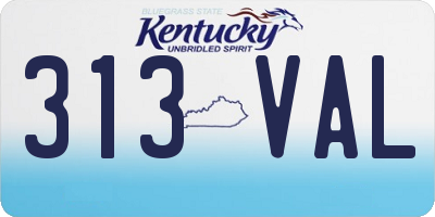 KY license plate 313VAL
