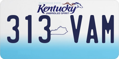 KY license plate 313VAM