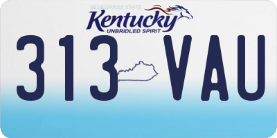 KY license plate 313VAU