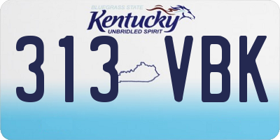 KY license plate 313VBK
