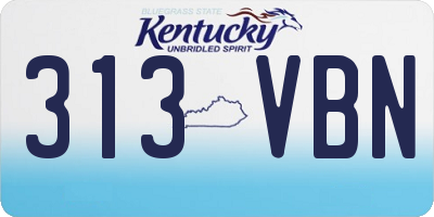 KY license plate 313VBN
