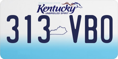 KY license plate 313VBO