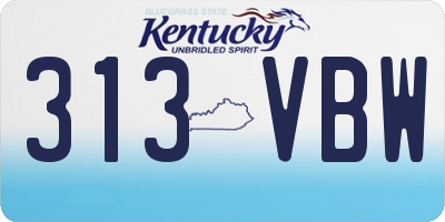 KY license plate 313VBW