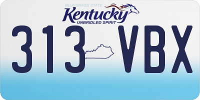 KY license plate 313VBX
