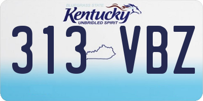 KY license plate 313VBZ