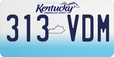 KY license plate 313VDM