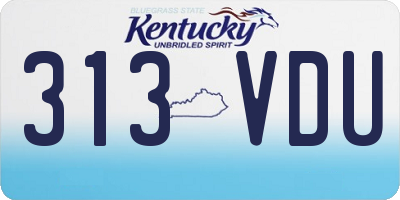 KY license plate 313VDU