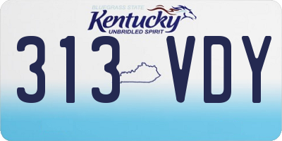 KY license plate 313VDY
