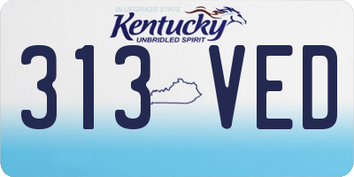 KY license plate 313VED