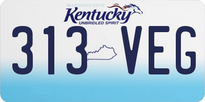 KY license plate 313VEG