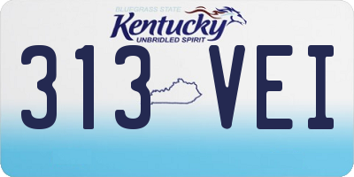 KY license plate 313VEI