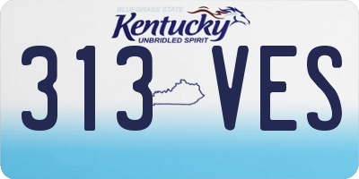 KY license plate 313VES