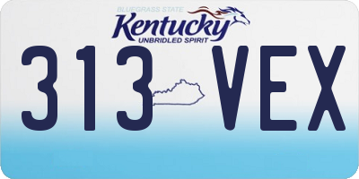 KY license plate 313VEX