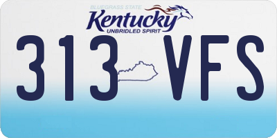 KY license plate 313VFS