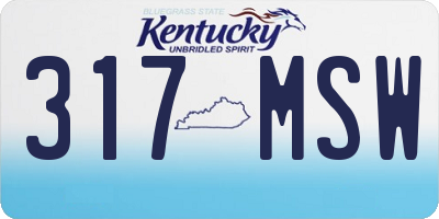 KY license plate 317MSW