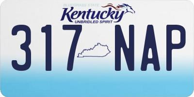 KY license plate 317NAP