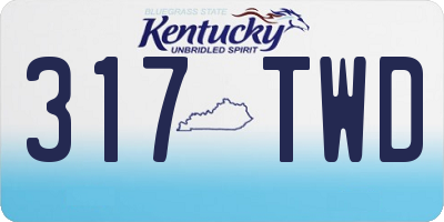 KY license plate 317TWD