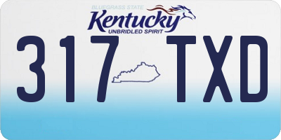 KY license plate 317TXD