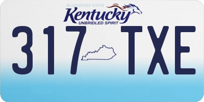 KY license plate 317TXE