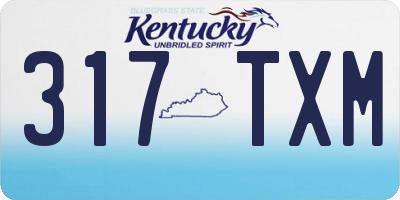 KY license plate 317TXM