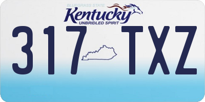 KY license plate 317TXZ