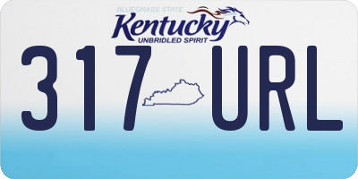 KY license plate 317URL