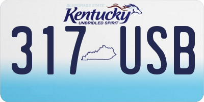 KY license plate 317USB