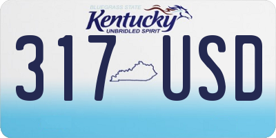 KY license plate 317USD