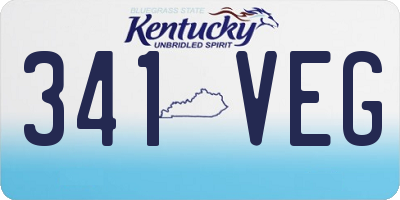 KY license plate 341VEG