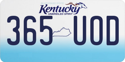 KY license plate 365UOD