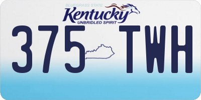 KY license plate 375TWH