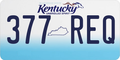 KY license plate 377REQ