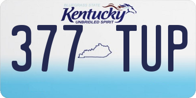 KY license plate 377TUP