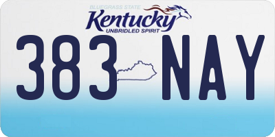 KY license plate 383NAY