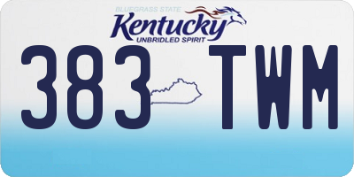 KY license plate 383TWM